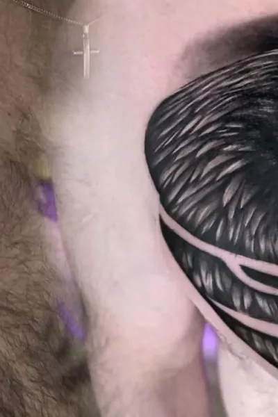 Cover-up4